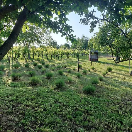 Spaletta Casa de Férias *