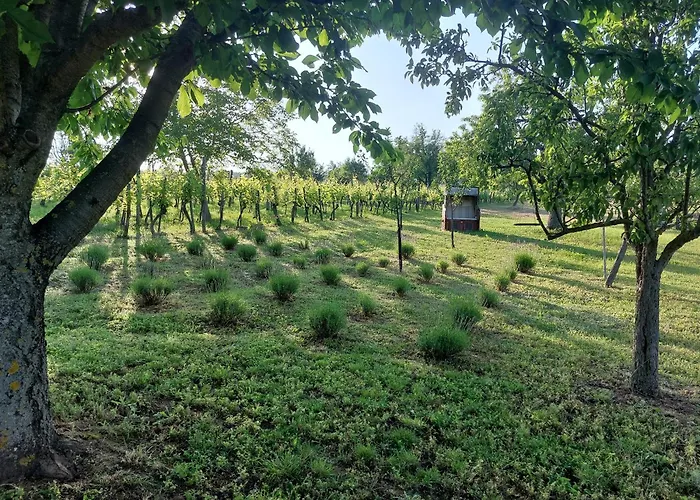 Spaletta Casa de Férias *