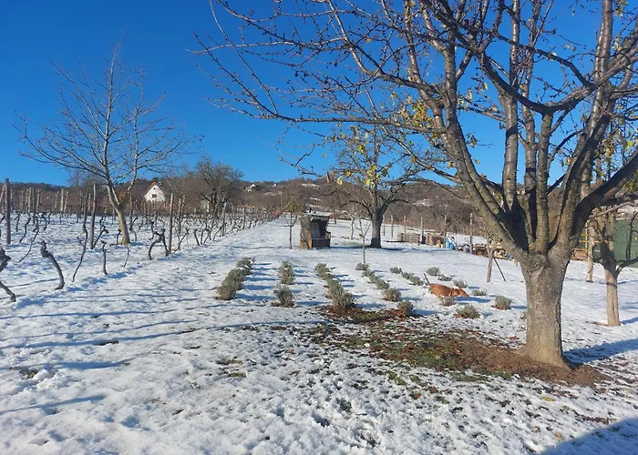 Spaletta Casa de Férias